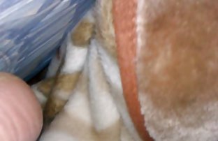 XXX telefonda anal seks bölümünden ücretsiz papatya erotik film izle bir video indirmek için - oynatıcıdaki